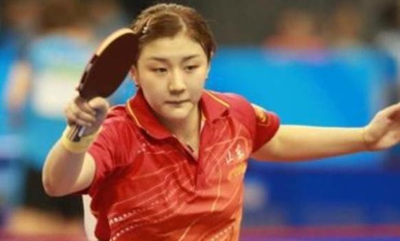 毛球总会近 毛球总会近