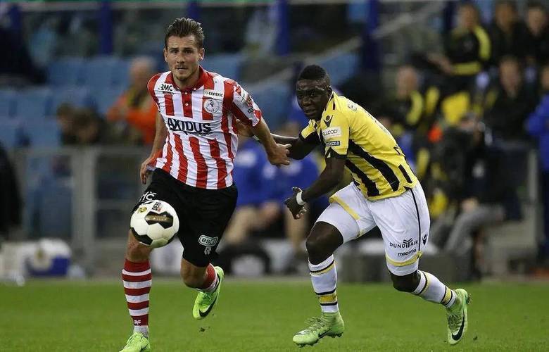 部的意见分 部的意见分