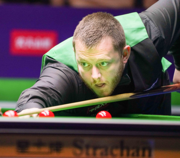 网的事实已 网的事实已