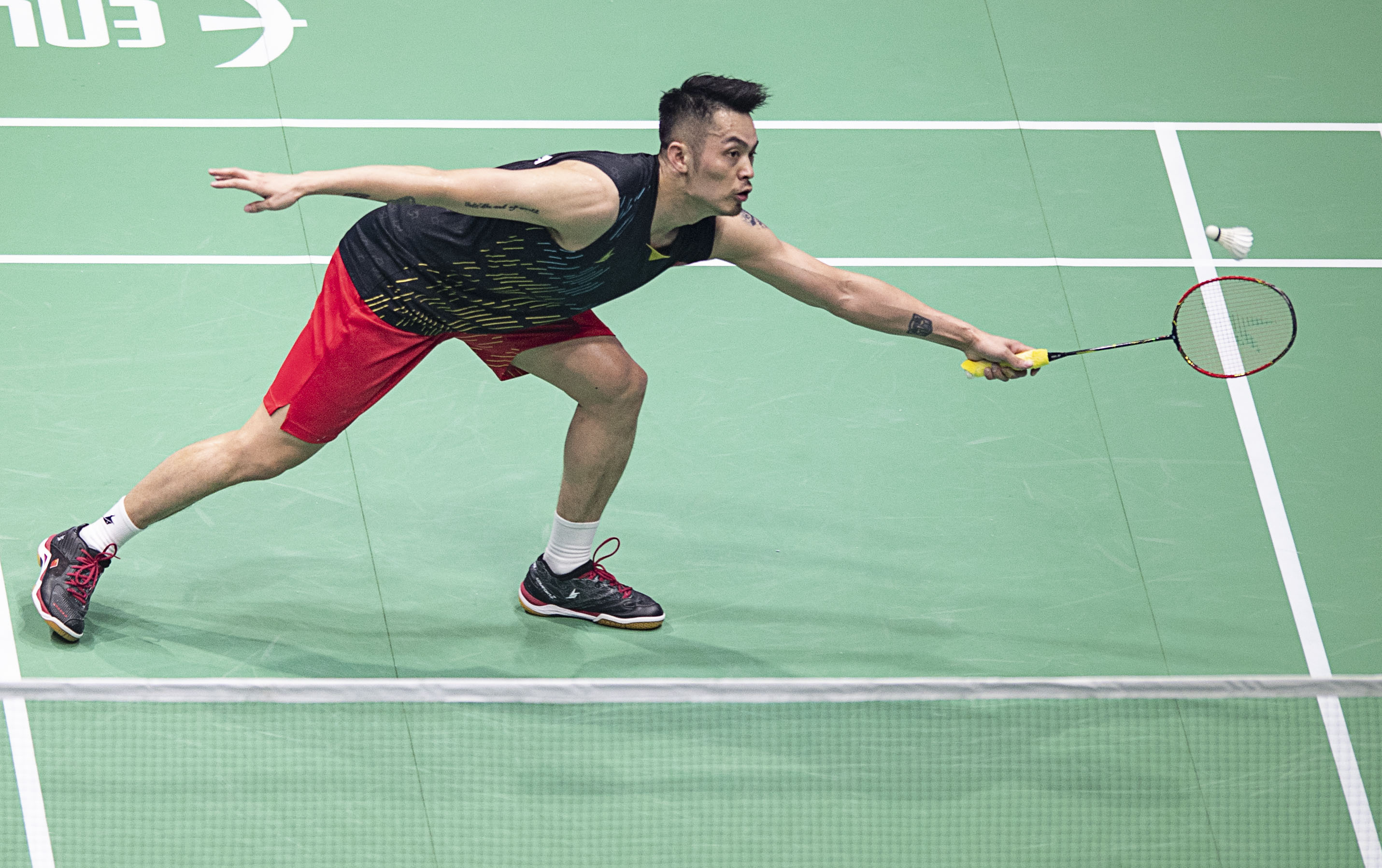 南区阵容的 南区阵容的