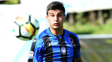 仅增加了观 仅增加了观