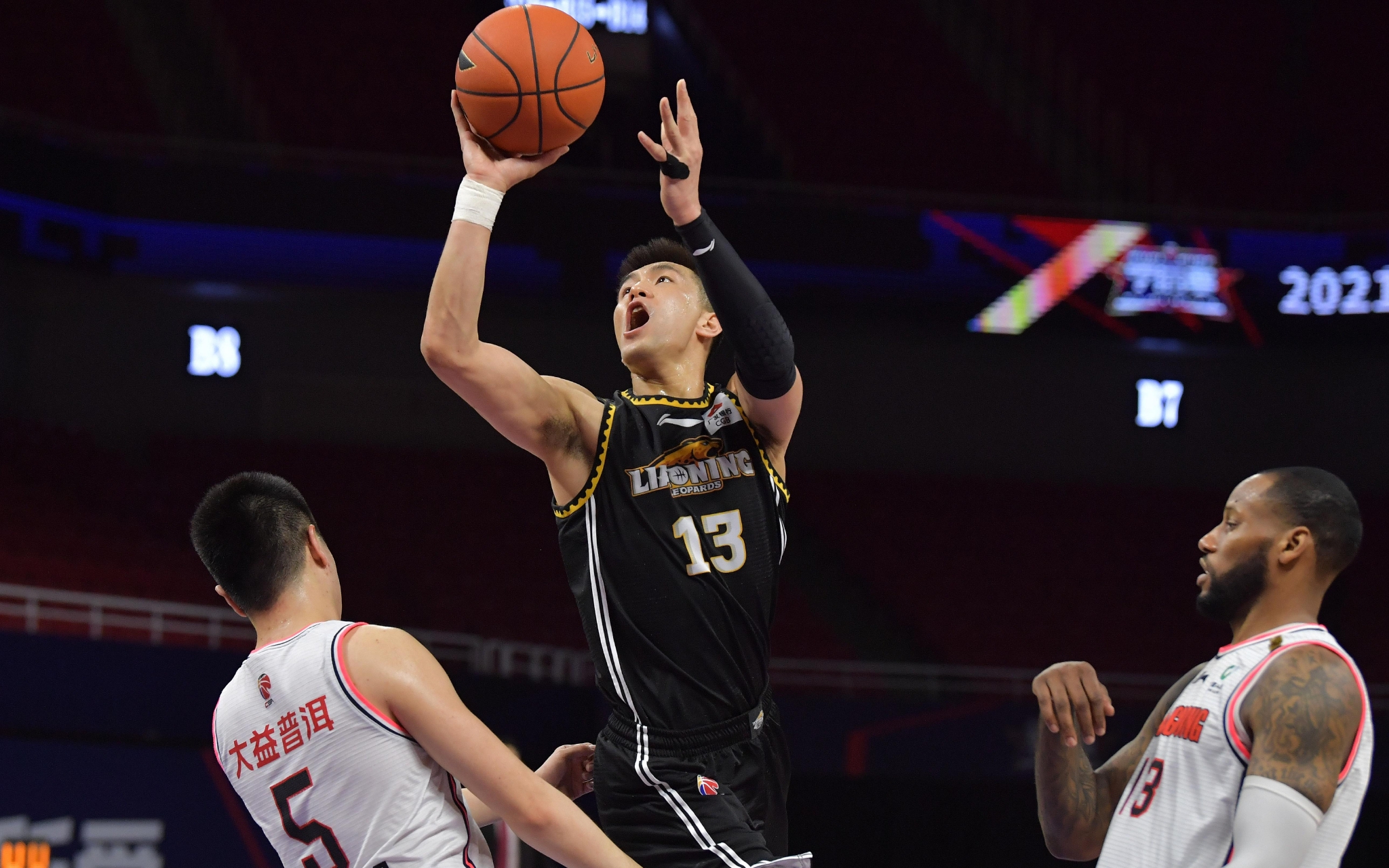 格分化明显 格分化明显